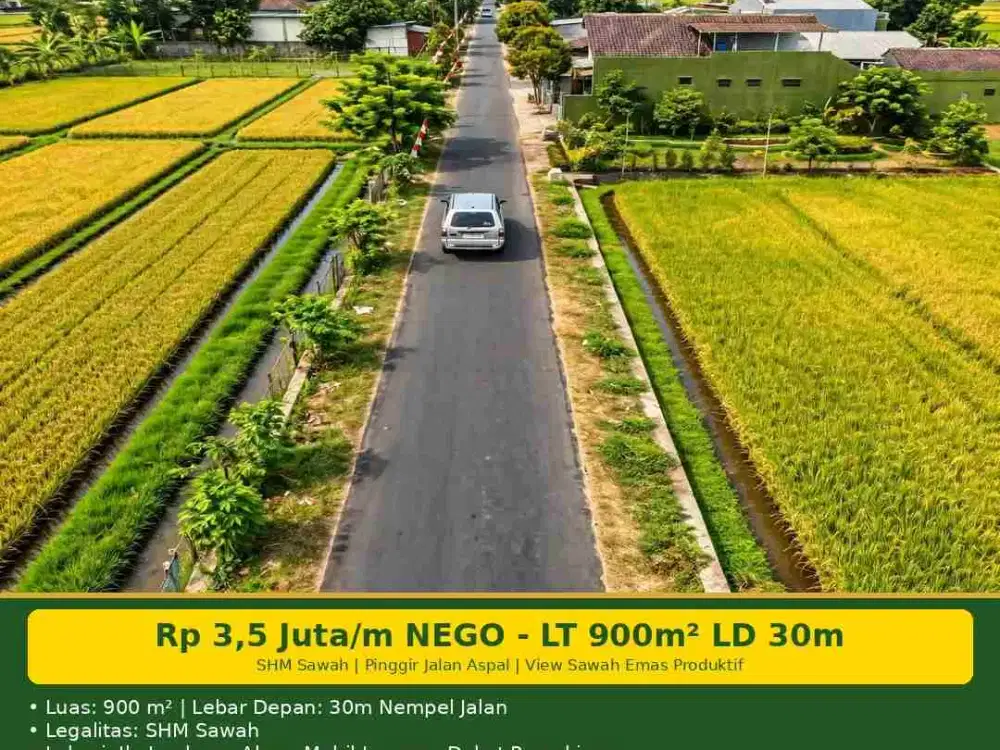 Dijual Sawah Produktif Pinggir Jalan Aspal Jln Jambon - LT 900m² LD 30m - SHM Sawah - 3,5jt/m Nego