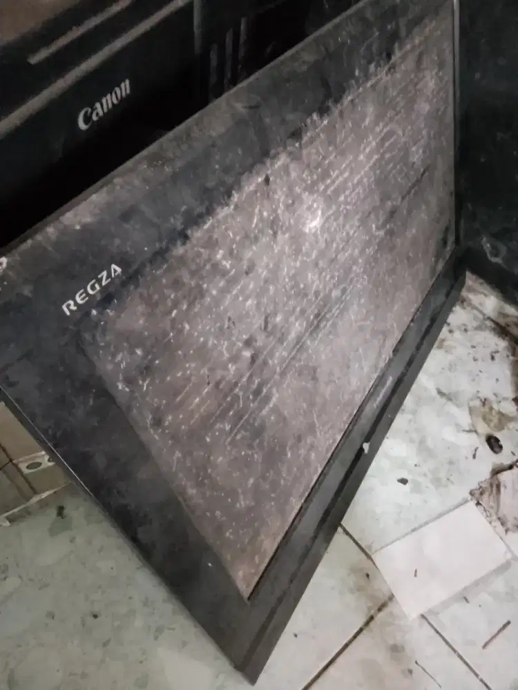 Toshiba regza TV 24 in