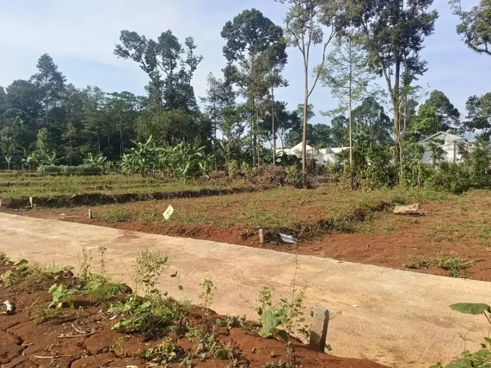 Tanah Murah di gunung pati dekat kampus unwahas