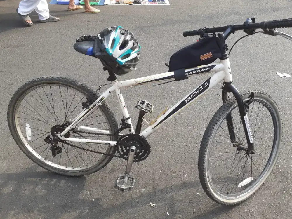 WimCycle Roadchamp Size 26