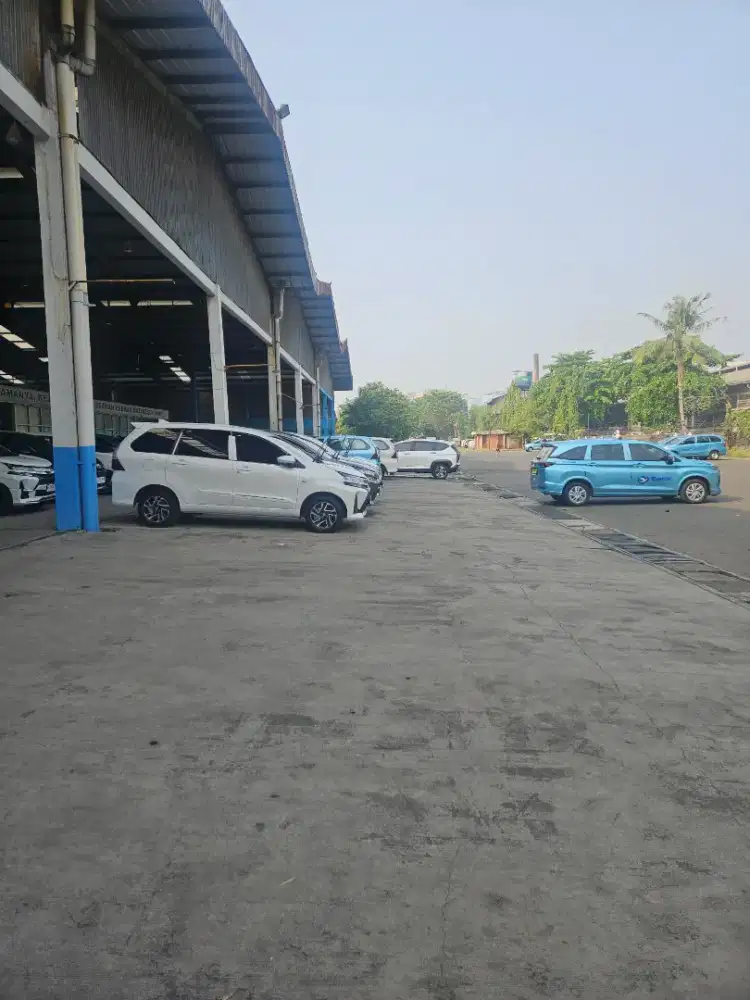 Driver profesional