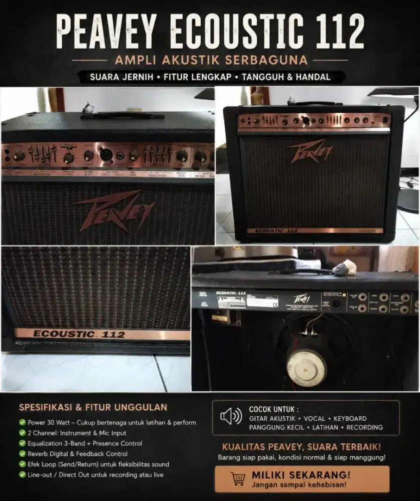 PEAVEY ECOUSTIC 112