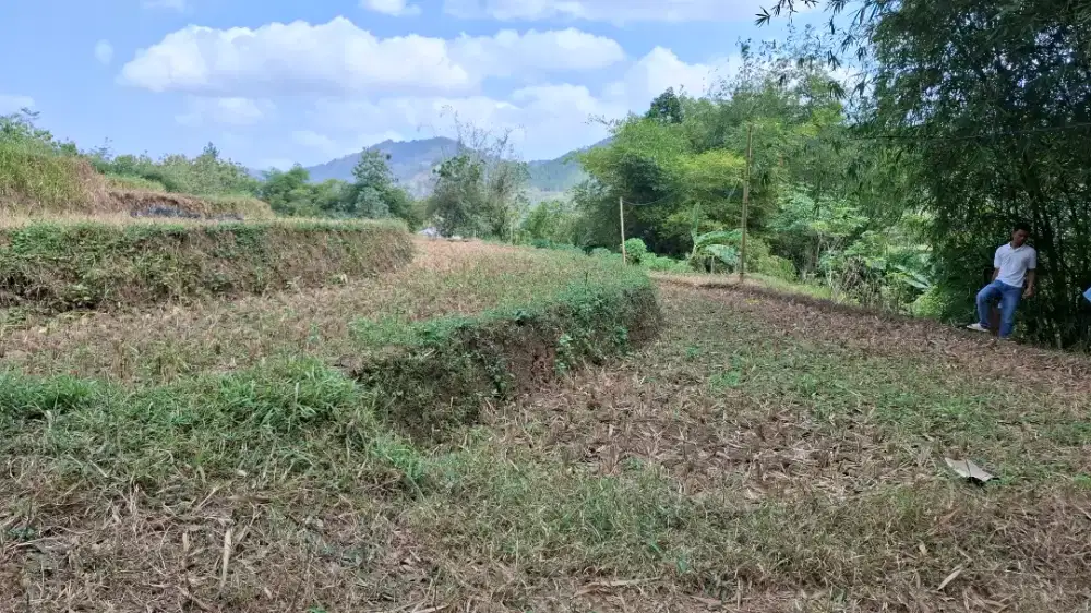 Tanah Sawah dekat jalan raya dawuhan trenggalek