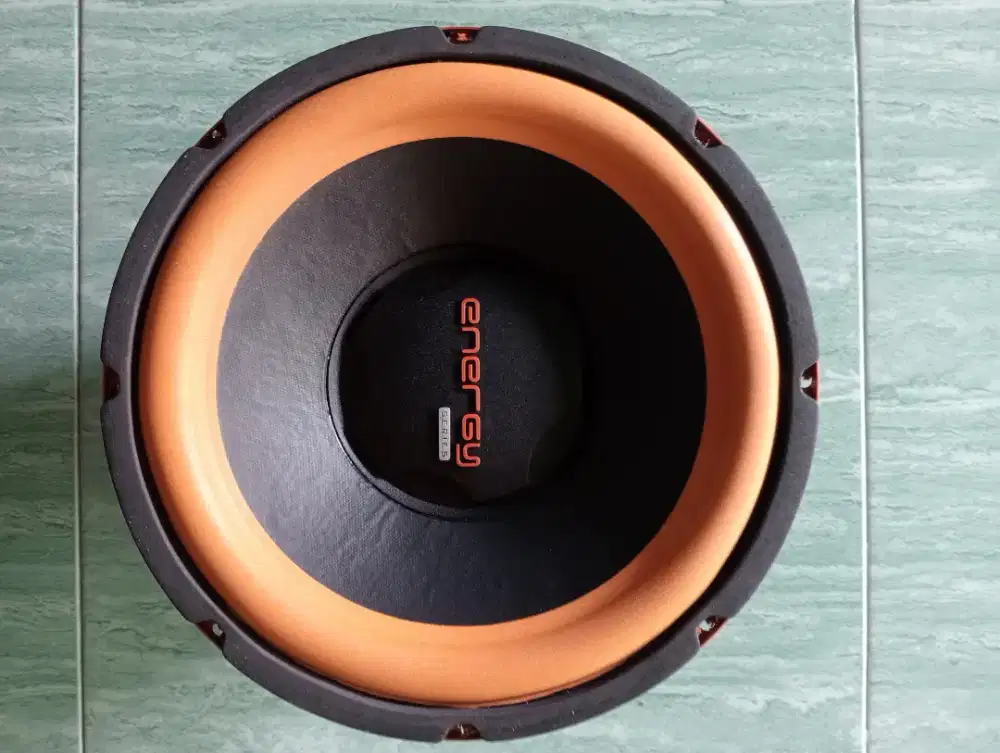 Speaker legacy 10in 300watt  normal ori
