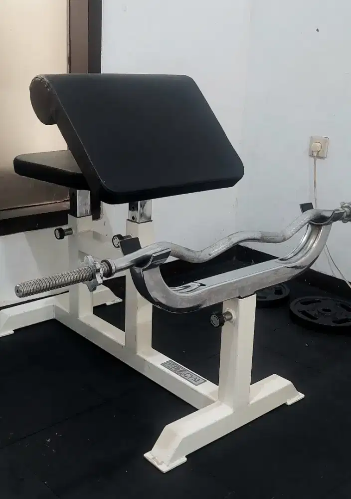 Preacher curl (Bicep Curl)