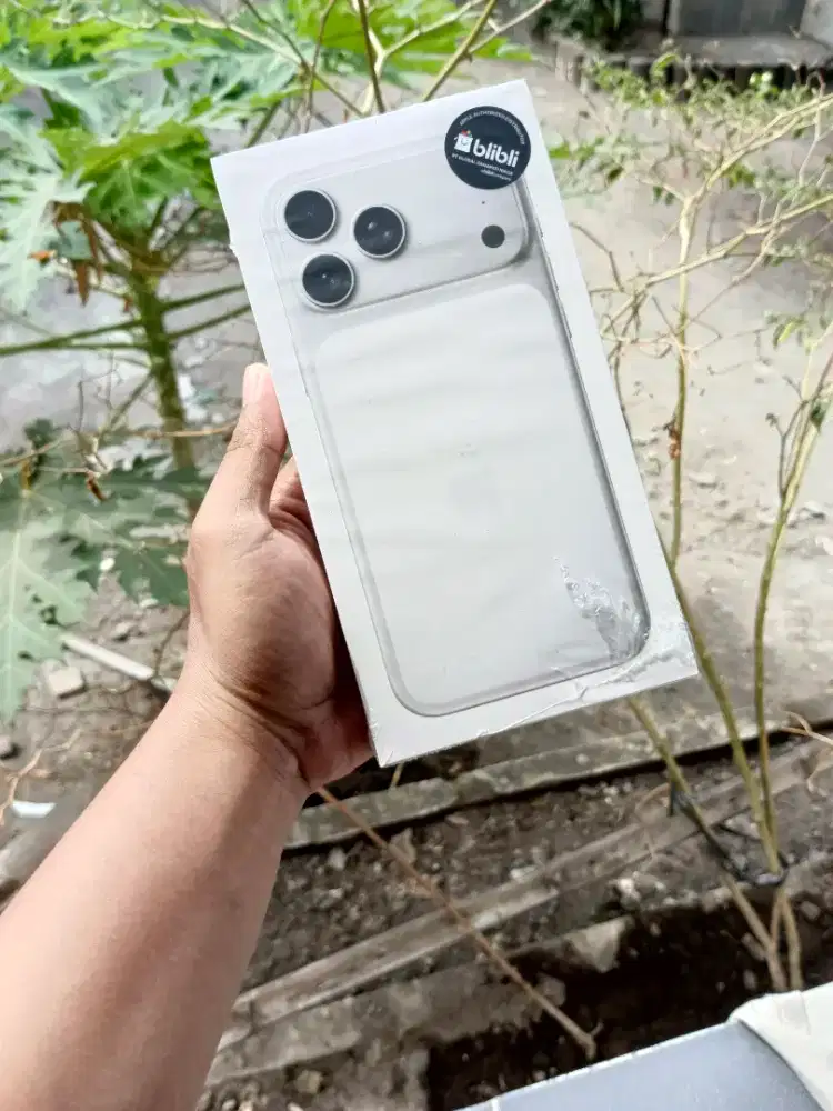 Jual 17 promax 256 silver new segel