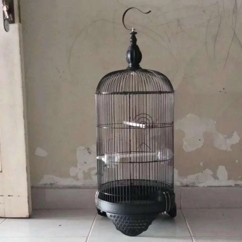 Kandang Lovebird Baru