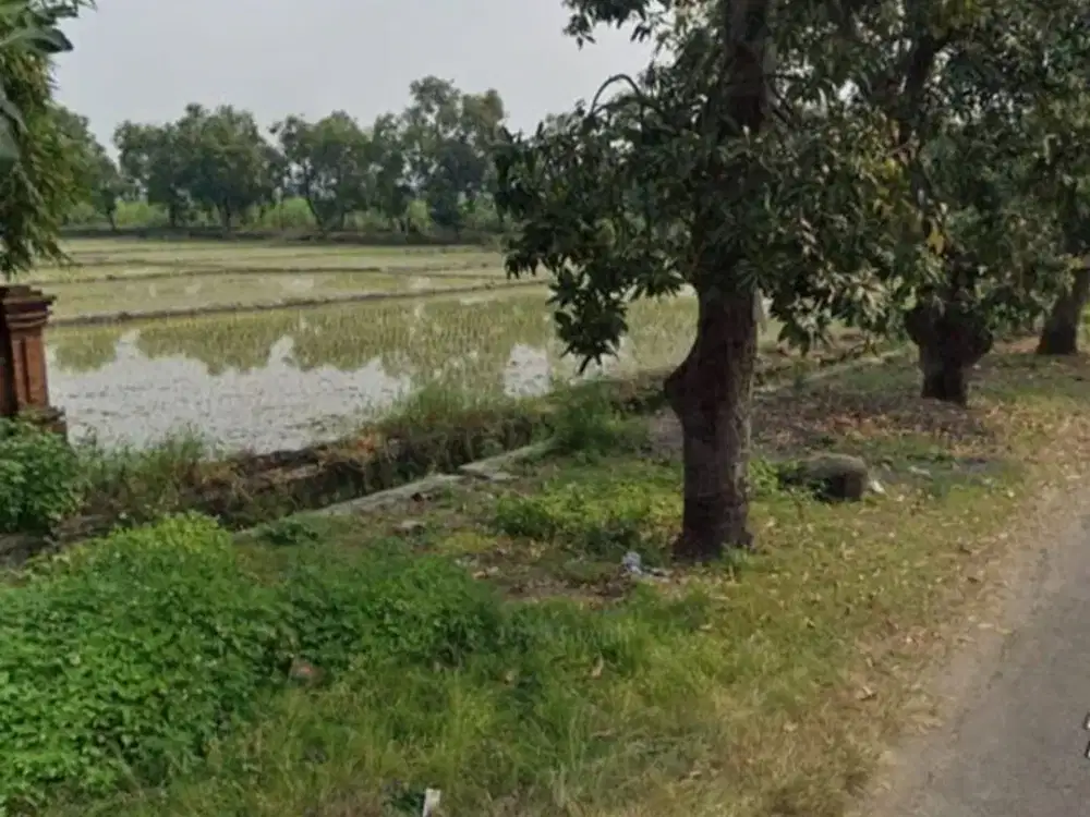 Dijual Lahan Puri Mojokerto