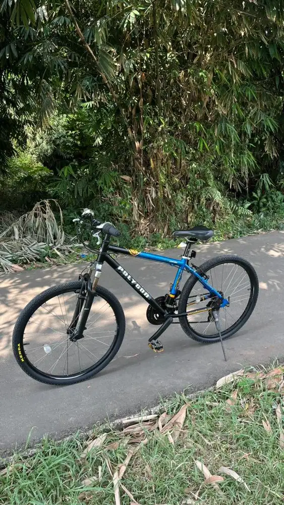 Sepeda Polygon Premier Premium Original