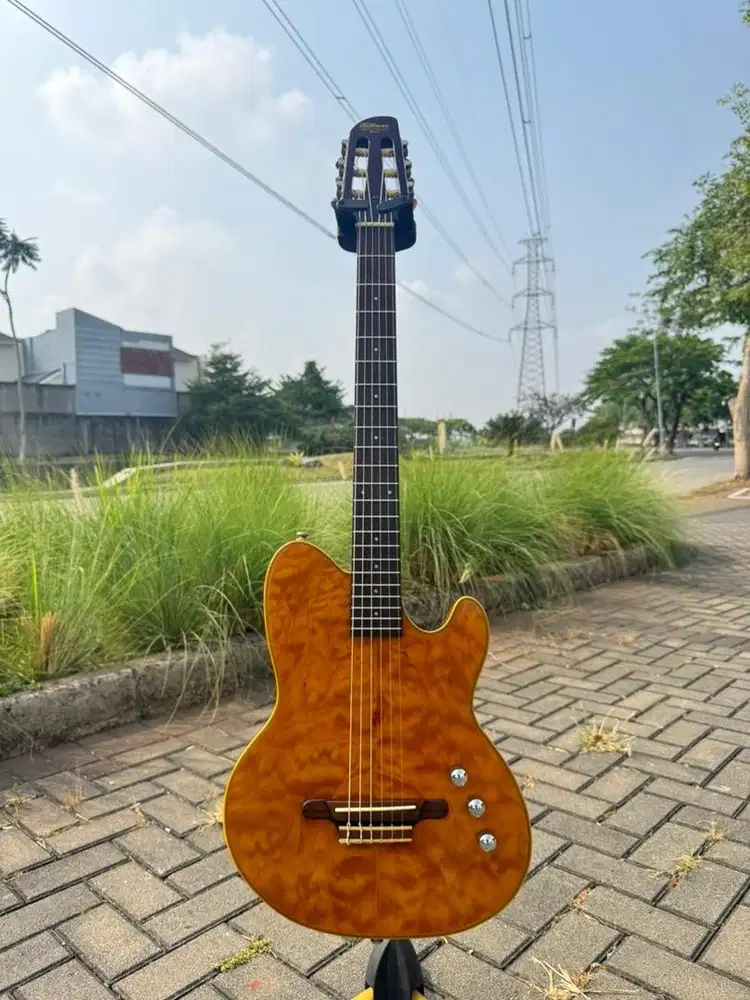 Rare Ibanez Talman Intermax TMX20N - Nylon Strings