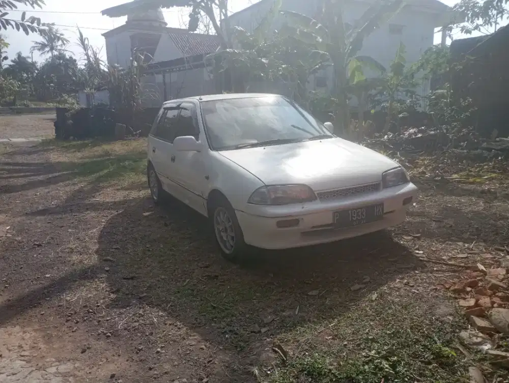 Suzuki Amenity 1991