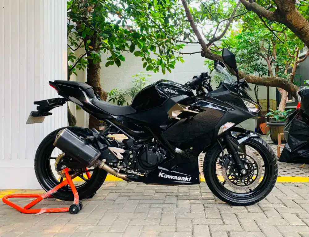 Kawasaki ninja 250 fi