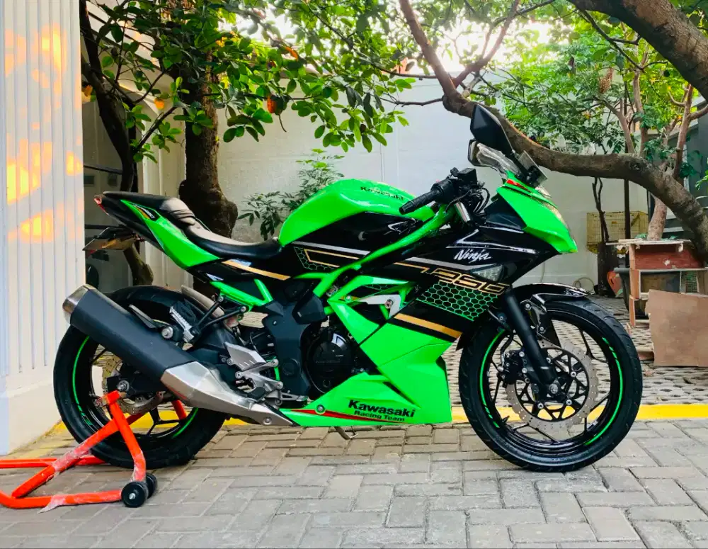 Kawasaki ninja 250 sl mono