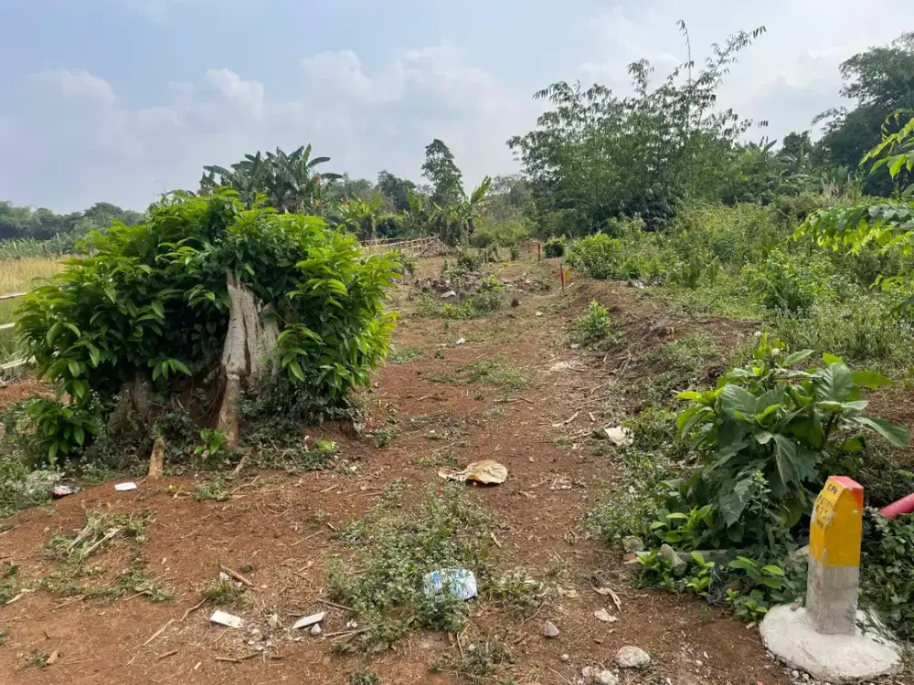 Jual Tanah Termurah di Cisauk - SHM - 100Jtan - Pinggir Jalan Strategis Dekat Stasiun Jatake - 10 menit Tol Legok - Bisa Cicilan Tanpa Bunga