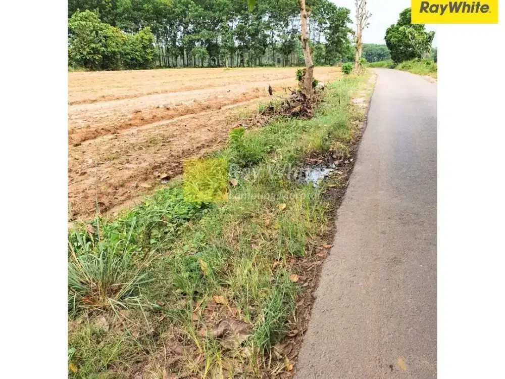 Dijual Tanah di Natar, Lampung Selatan (Kode : ALN 3710)
