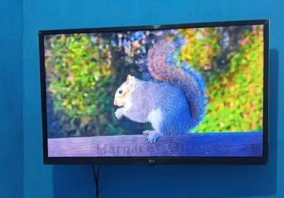 TV LG 32 siap ambil