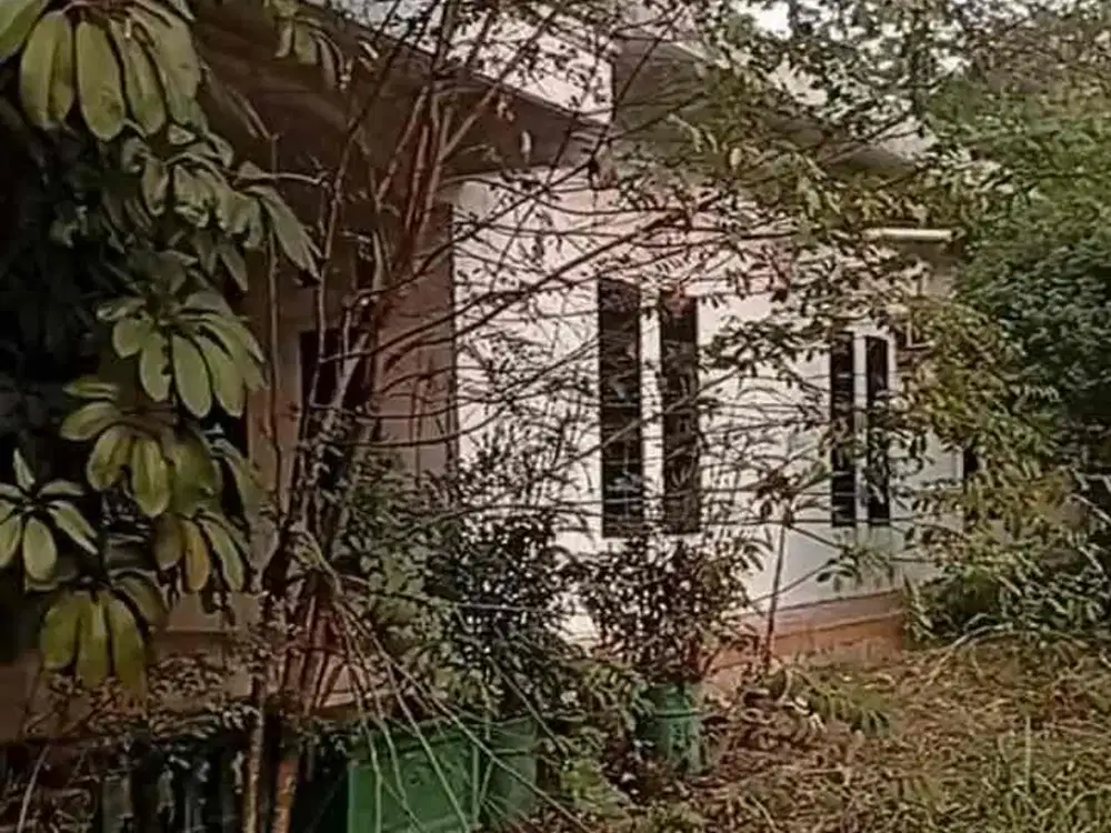 Dijual Rumah Tanah Luas di Mekarsari Cileungsi Bogor
Cocok untuk Bangun Gudang, Mini Cluster