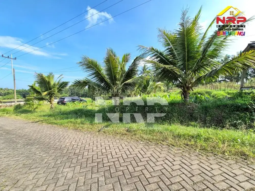 Dijual tanah Kebun Produktif dan Asri di Jopuro - Banyuwangi