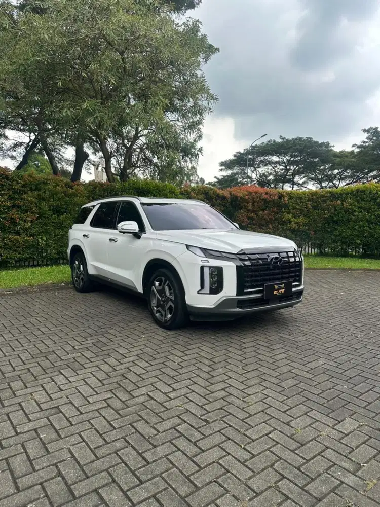 Hyundai Palisade Signature Facelift 2023 Low Odo Service Record