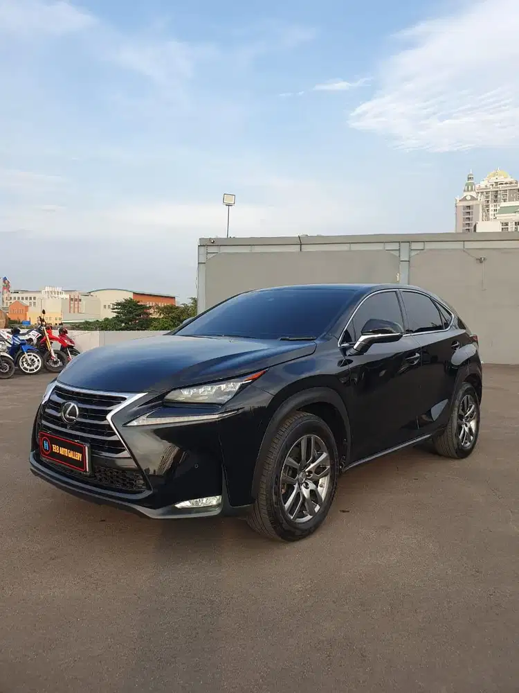[KM 36 RB] LEXUS NX200T 2014
