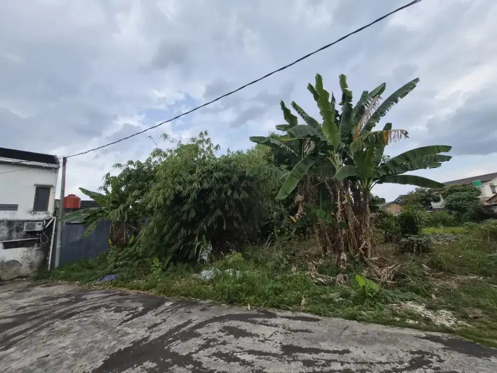 DIJUAL TANAH SIAP BANGUN JALAN KANCIL PUTIH PULAU DEMANG PALEMBANG
