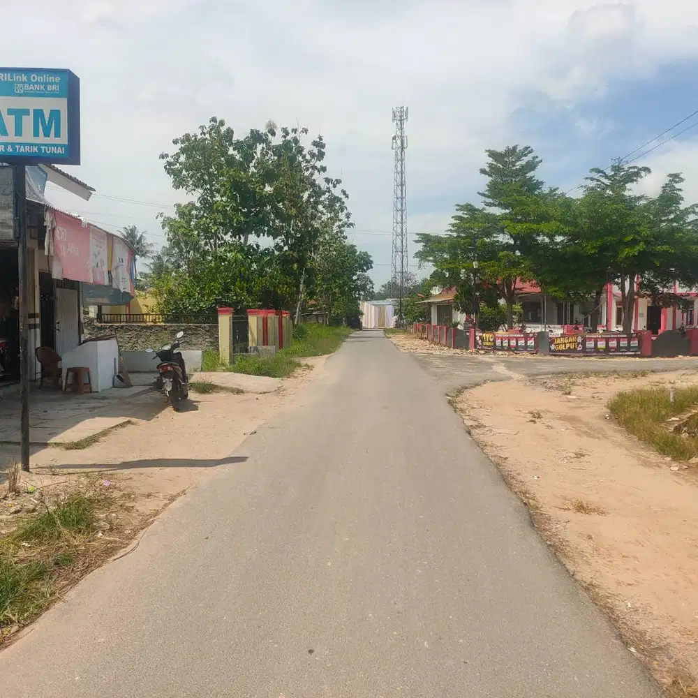 TANAH DEKAT KAMPUS ITERA DISAMPING BALAI DESA N PUSKESMAS DP MURAH