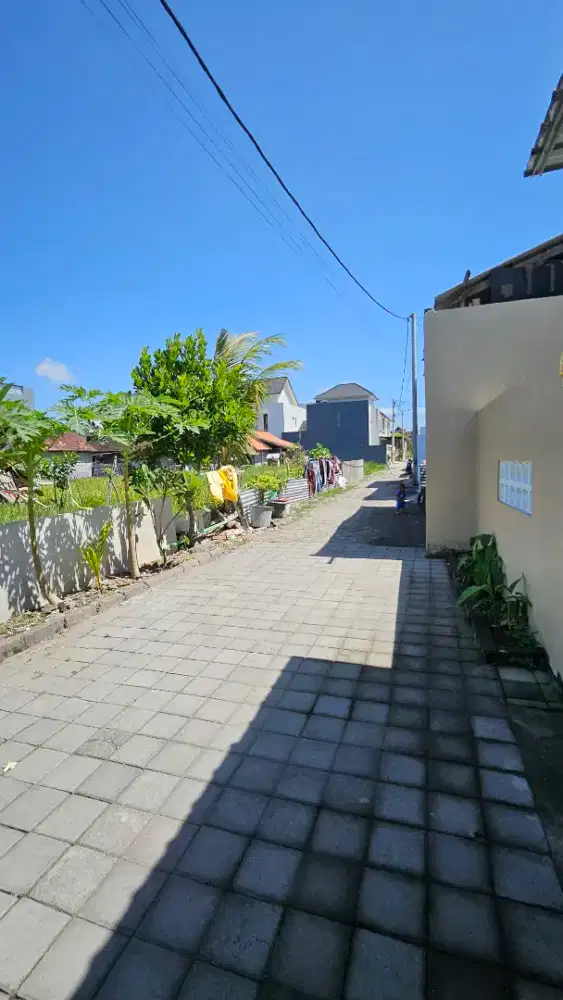 Disewakan rumah baru lokasi denpasar timur