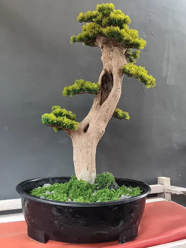 Pohon bonsai artifisial pinus