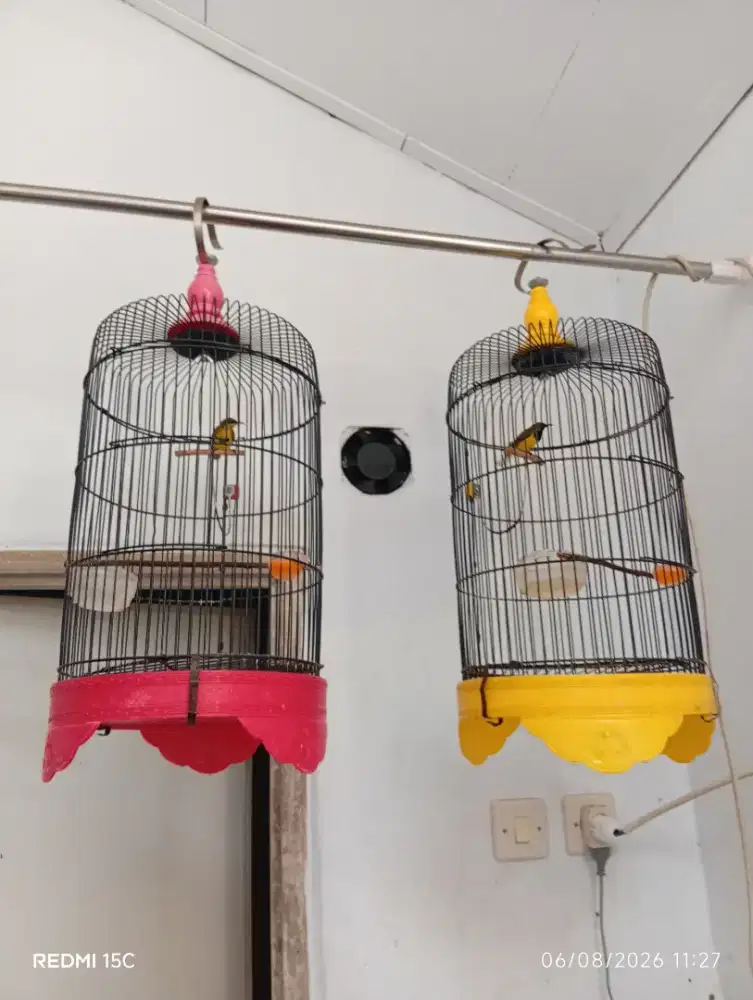 Jual Kandang Burung Kapsul Kecil