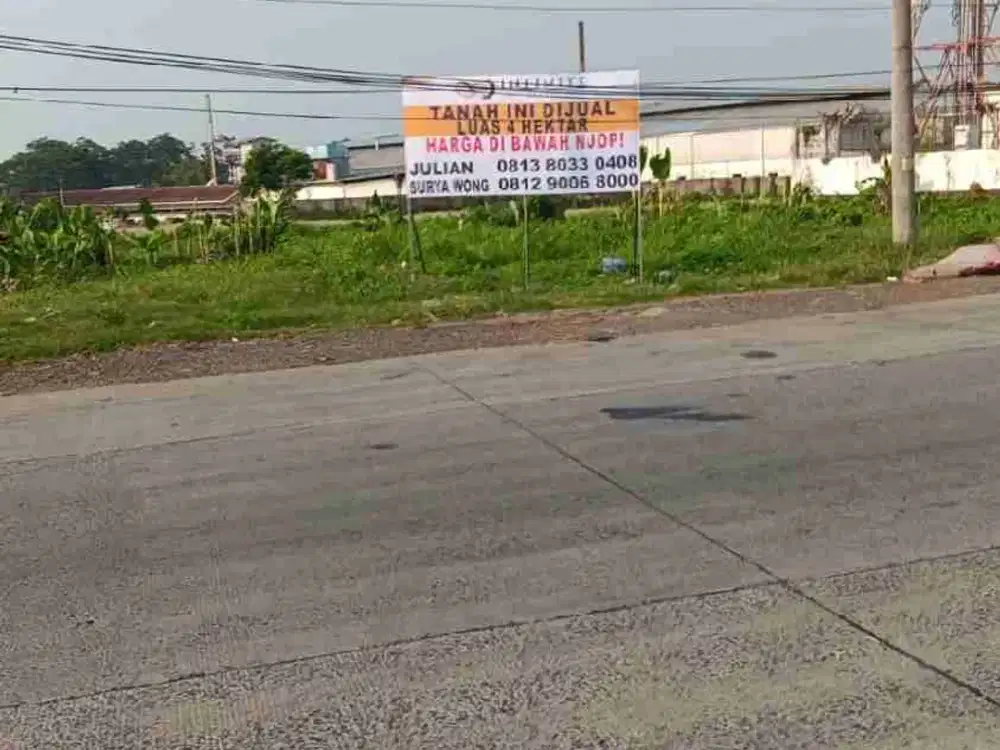 Tanah Komersil 4ha Depan Tol Batang Sangat Strategis Shm