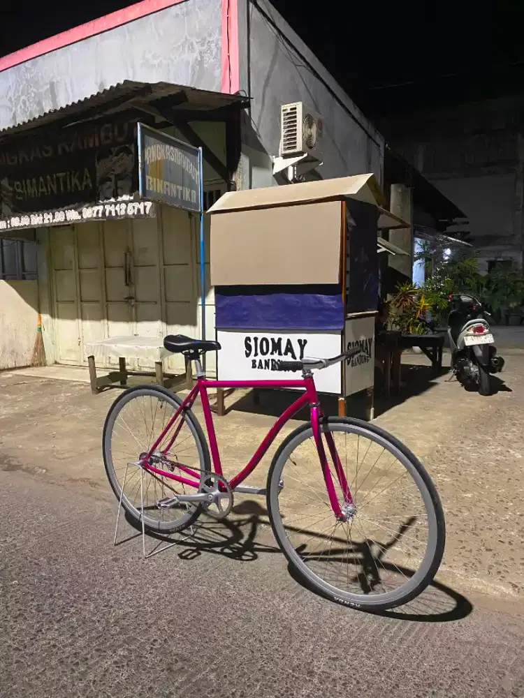 jual sepeda fixie