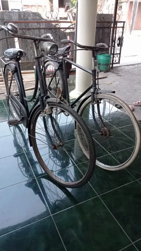 Ontel kebo dan onta Hercules dan Raleigh