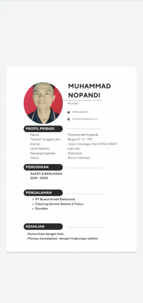 Cleaning service