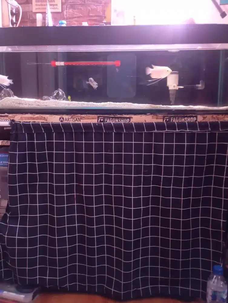Satu set aquarium ex air laut