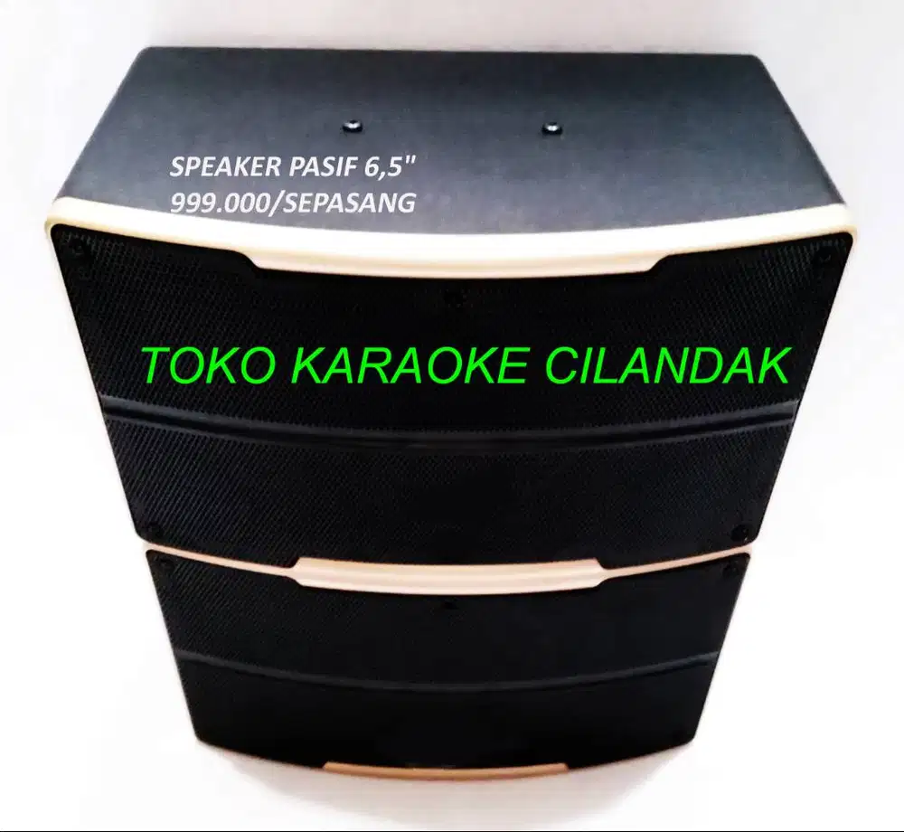sepasang speaker pasif 6,5 inch