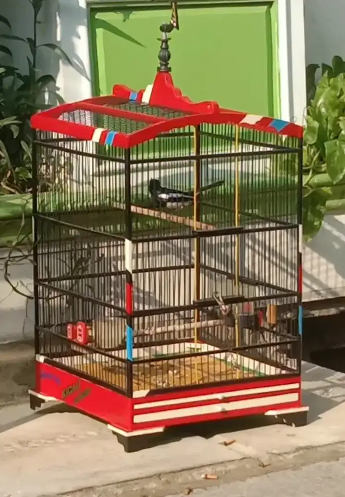 ukuran 40x40 full piber no minus