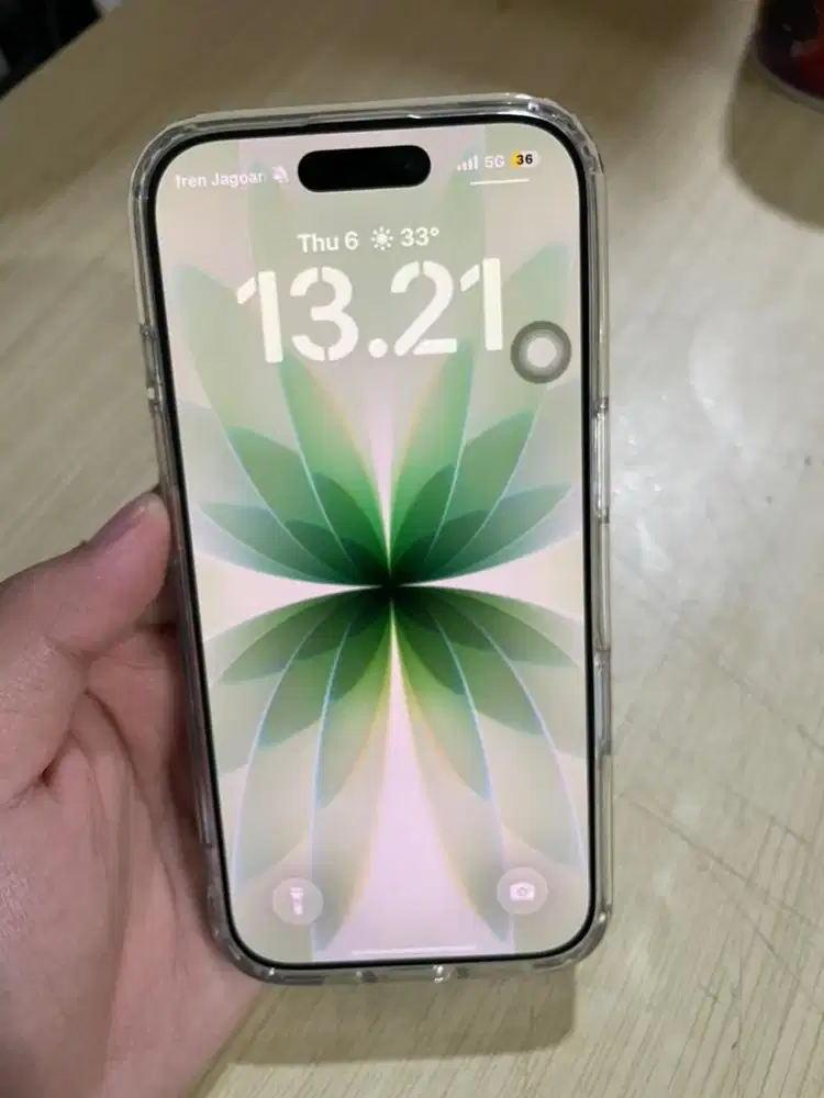 iphone 17/ 256gb Sage