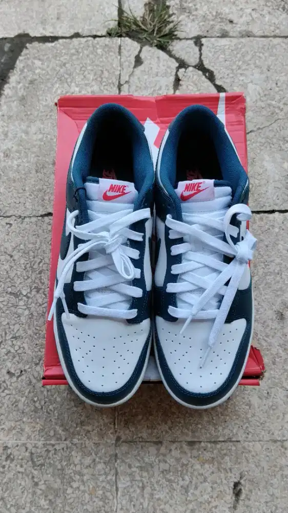 Nike Dunk Low Valerian Blue