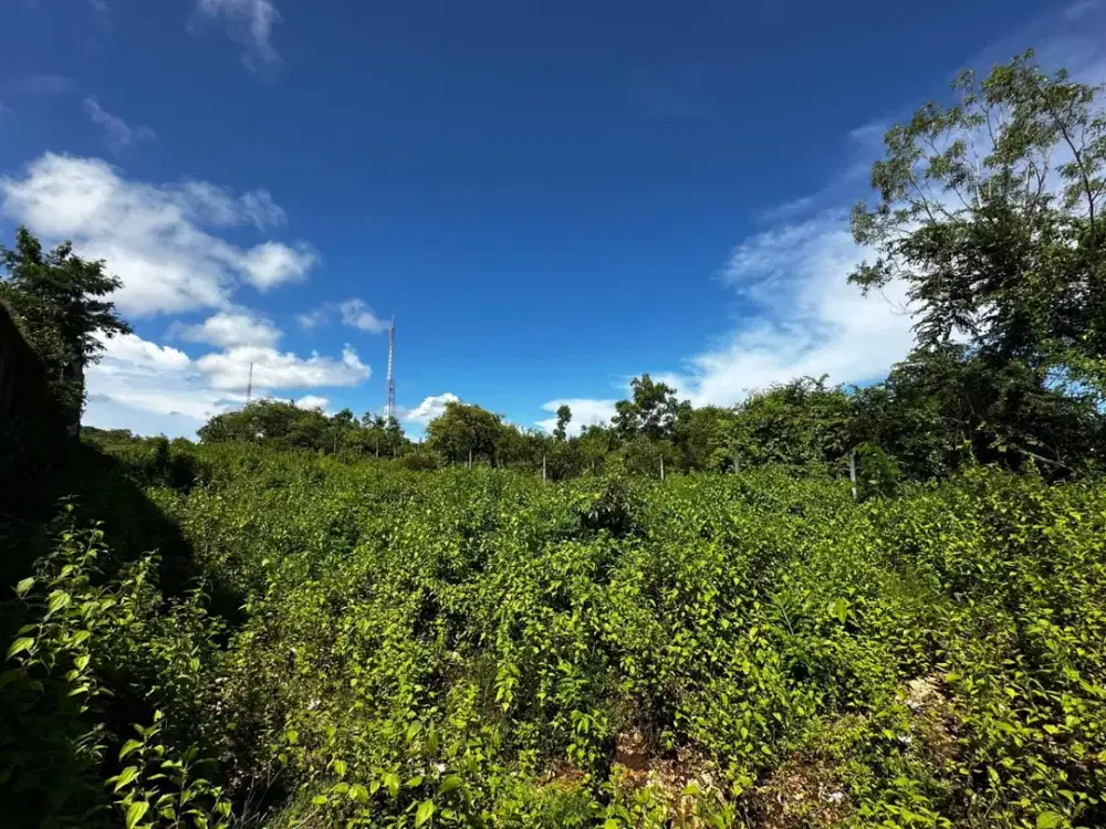 Dijual Tanah 760m² Zona Komersial Kutuh Nusa Dua – Bonus 140m²