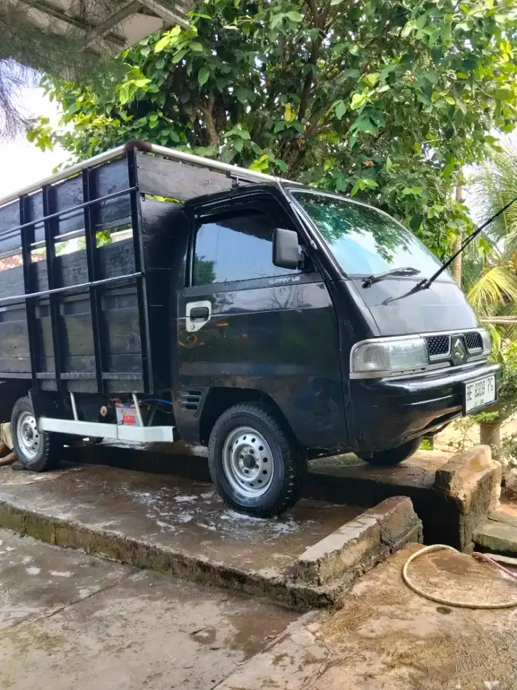 Carry 2013 pakaian pribadi