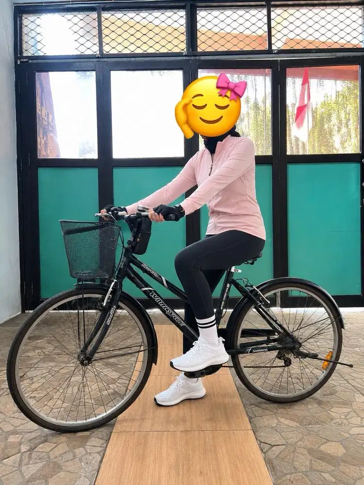 Sepeda Wimcycle Starlite Warna Hitam