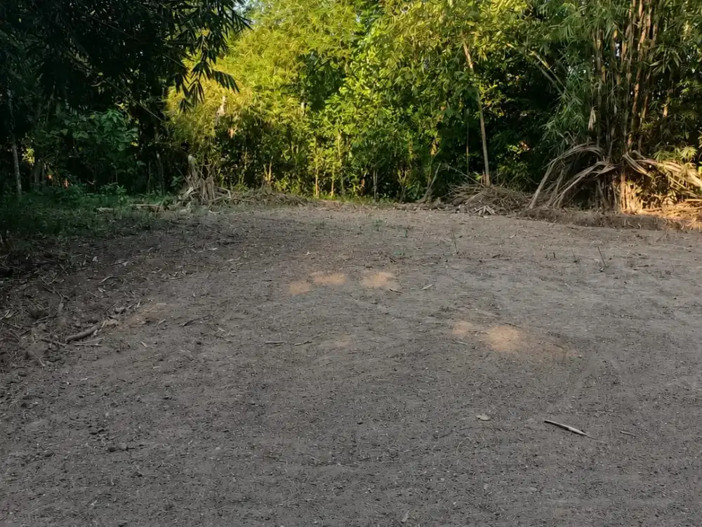 BU! Tanah Pekarangan Murah Belakang RS UII Bantul