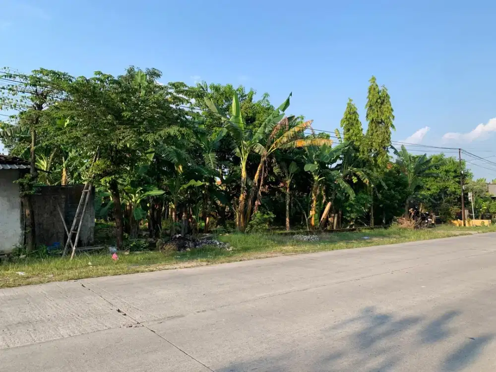 Tanah Pekarangan Lelang Murah di Sragen 10 Menit ke Wisata Boyolayar
