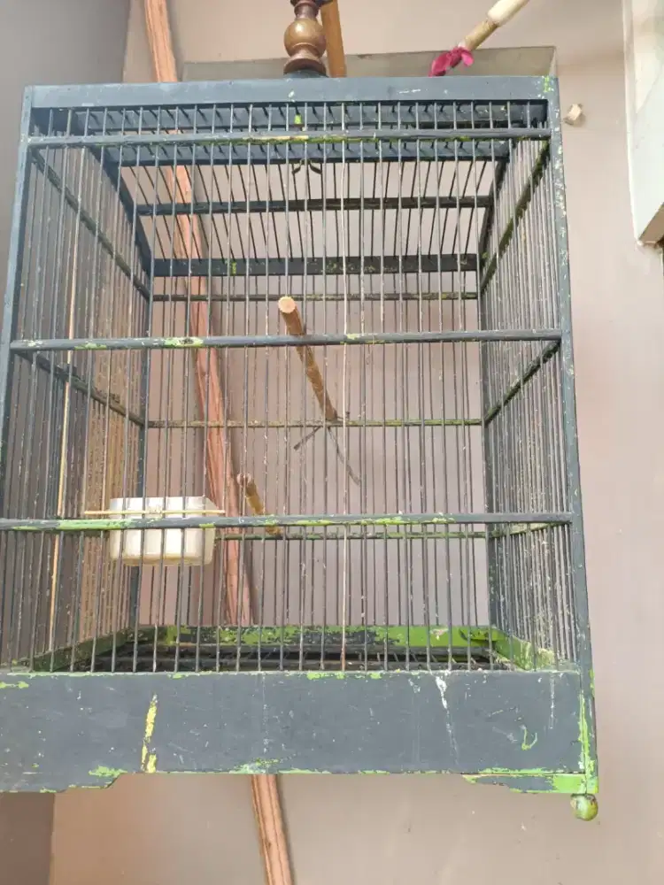 Dijual kandang burung seken