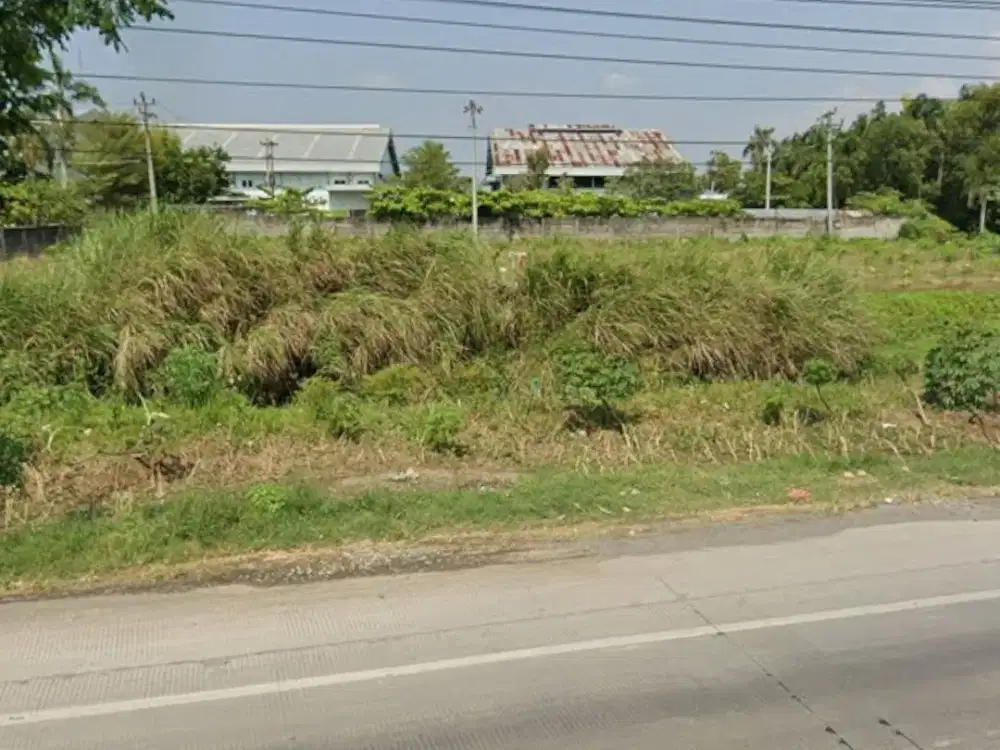 A81 Jual Lelang Tanah Industri di Jalan Semarang Purwodadi Grobogan