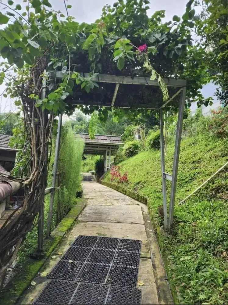 DIJUAL RUMAH KEBUN DI CIKOPAK, KALAPAREA, NAGRAK, SUKABUMI