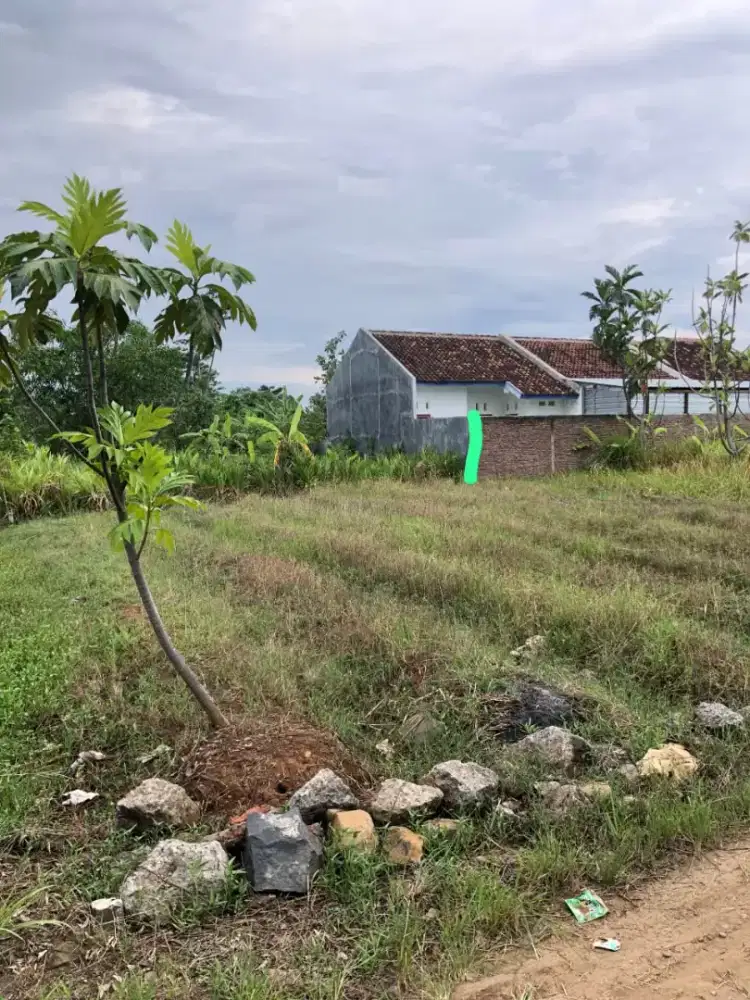 Tanah kapling siap bangun