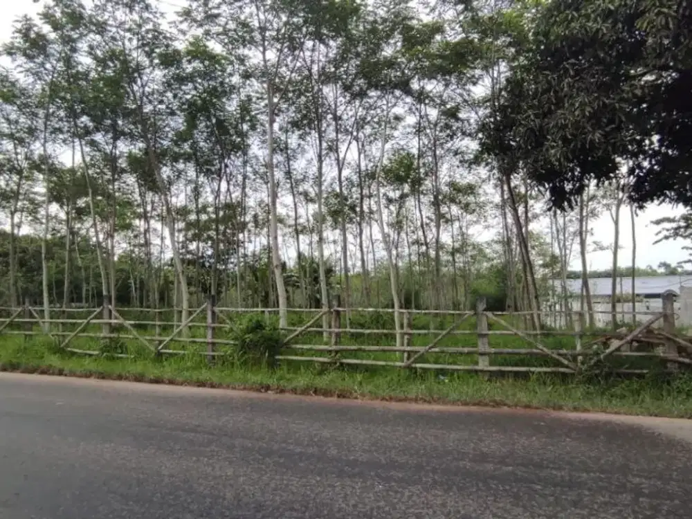 Dijual Tanah di Pandanlandung Wagir Malang Row Jalan Lebar
