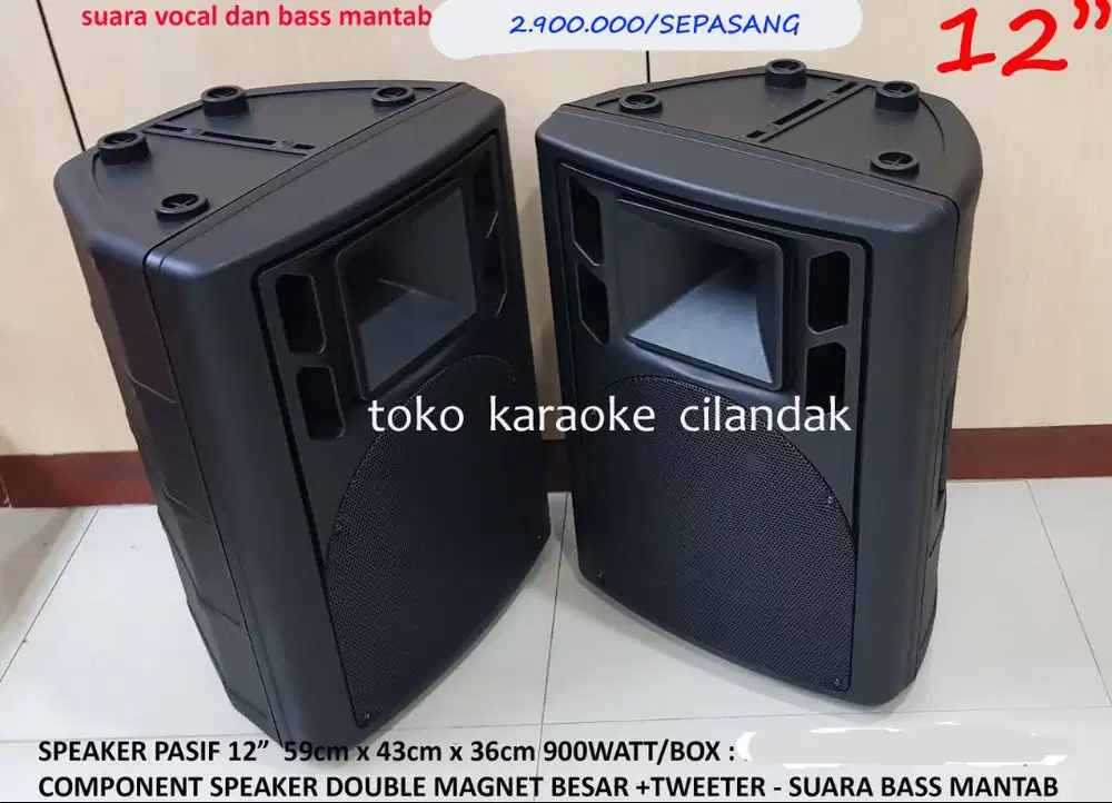 speaker pasf 12