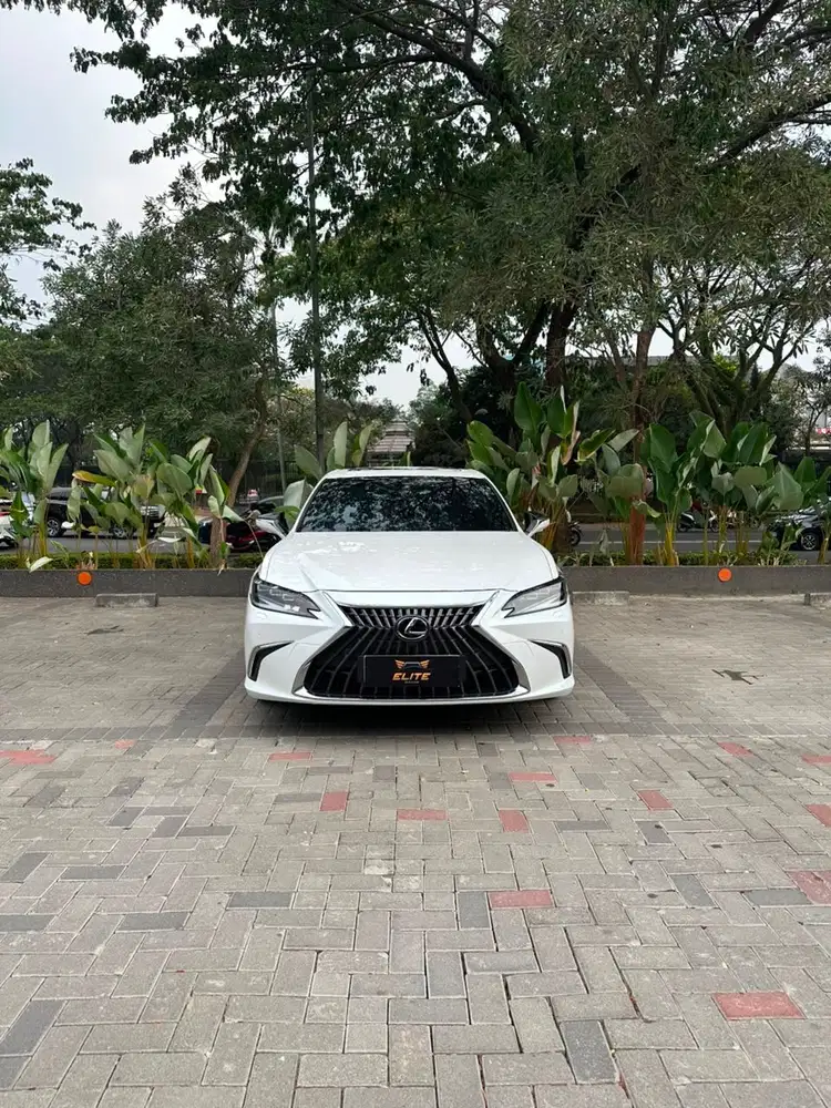 Lexus ES300H Ultra Luxury 2023 Bergaransi